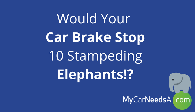 Would Your Car Brake Stop 10 Stampeding Elephants!?